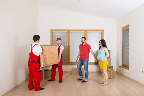 Jobs in Gorilla Fit Movers - reviews