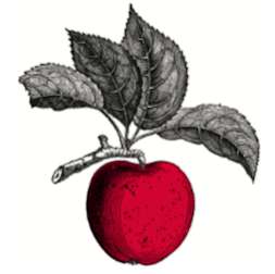 Jobs in New York Cider Company - reviews